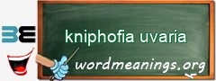 WordMeaning blackboard for kniphofia uvaria